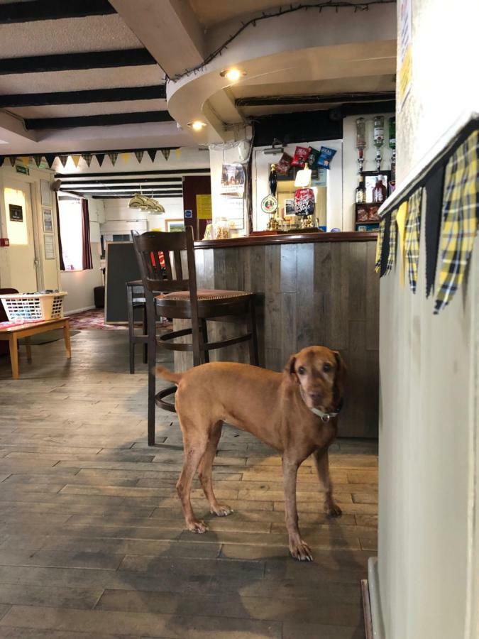 Отель The Kings Head Chacewater Экстерьер фото